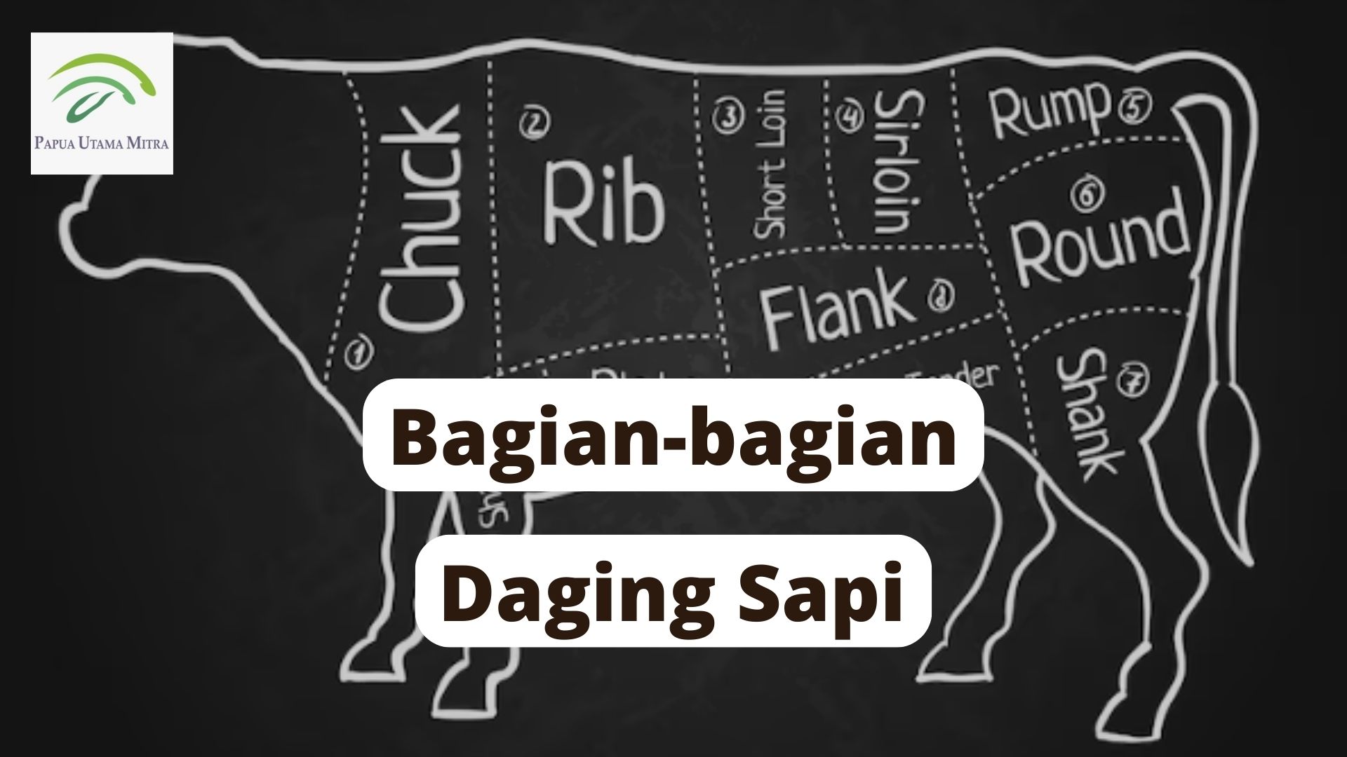 Bagian-bagian Daging Sapi